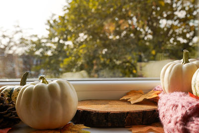 Autumn podium for products, concept cozy home, window with pumpkins and fall leaves