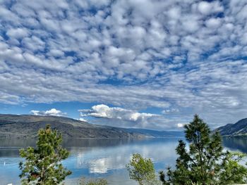 The gorgeous okanagan valley with clouds reflecting in the lake and trees in the front.