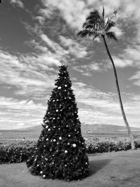 Trees against cloudy sky