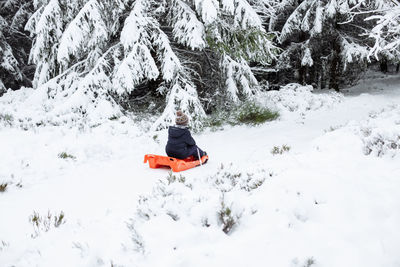 The boy is sledding in warm clothes through the winter forest. children rest on vacation