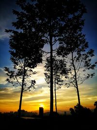 Low angle view of silhouette trees on field against sky at sunset
