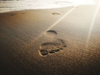 High angle view of tire tracks on beach