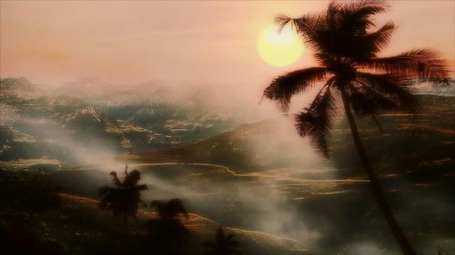 Close-up of palm trees against sky during sunset