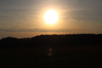 Silhouette trees on field against sky at sunset