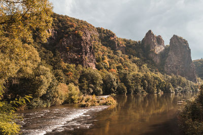 Scenic view of river amidst trees against sky