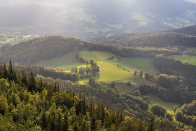 High angle view of trees on landscape