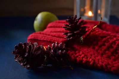 Close-up of pine cones and knit hat on table