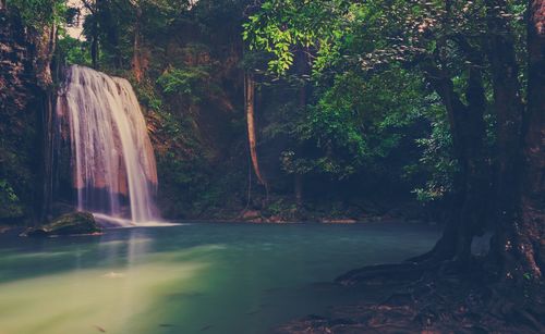 Scenic view of waterfall in forest