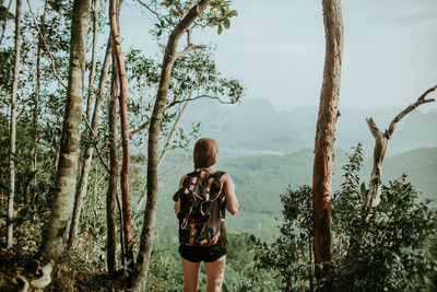 Back view of unrecognizable female hiker with rucksack standing near tall trees above thicket of green jungle in wild nature