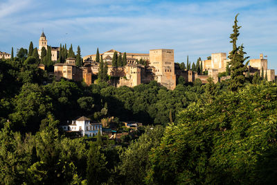 View of trees and buildings against sky