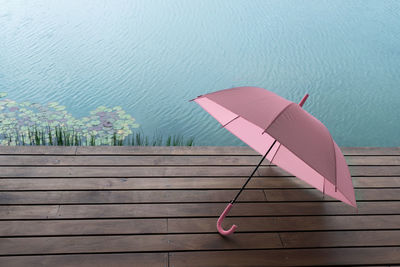 High angle view of pink flowering plants by lake