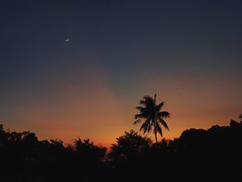 Silhouette palm trees against sky during sunset