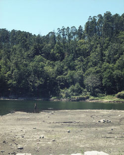 Scenic view of lake by trees against sky