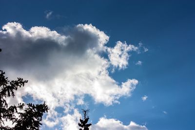 Low angle view of silhouette trees against blue sky