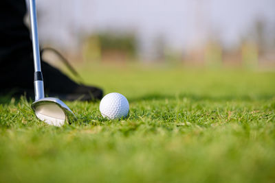 Close-up of golf ball