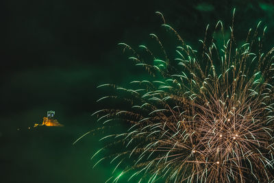 Low angle view of firework display at night