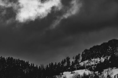 Low angle view of silhouette trees against sky during winter