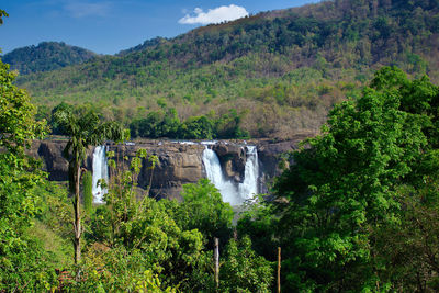 Scenic view of waterfall in forest