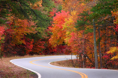 Road amidst autumn trees