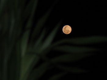 Close-up of moon at night