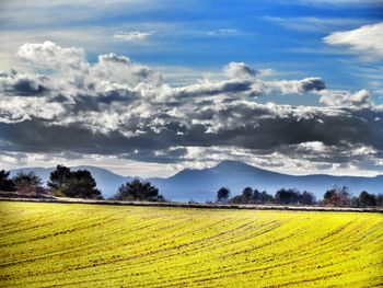 Scenic view of field against sky