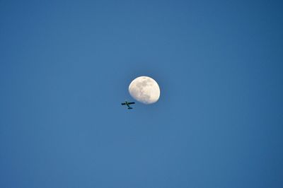 Low angle view of half moon against clear blue sky