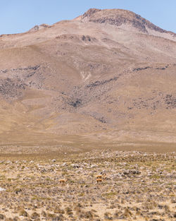 Scenic view of desert against sky