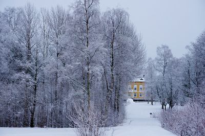 Scenic view of snow covered field