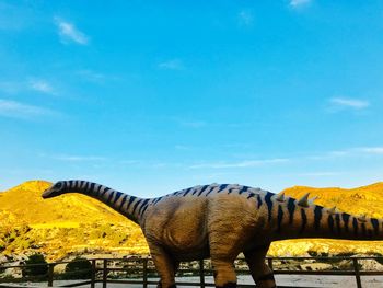 Side view of elephant against blue sky