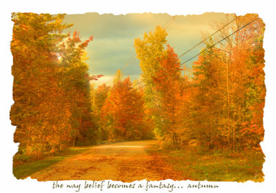 Trees on field against sky during autumn