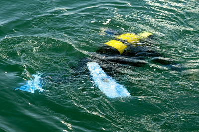 Diver in sea surface at diving course