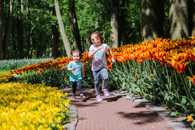 Happy boy and flowers on plants