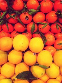 Full frame shot of citrus fruits for sale at market stall