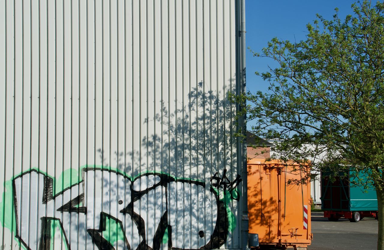 LOW ANGLE VIEW OF TREES AGAINST BUILDING