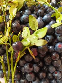 Full frame shot of grapes
