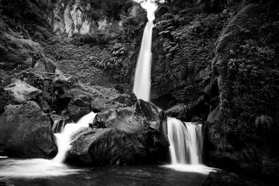 Scenic view of waterfall in forest