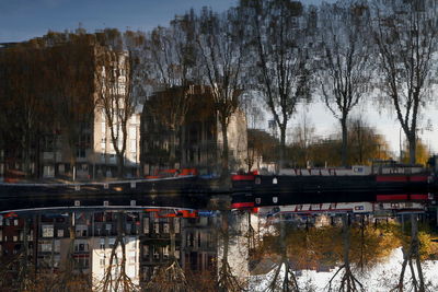 Reflection of trees in lake