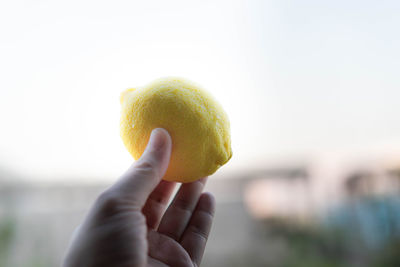 Close-up of hand holding fruit against sky