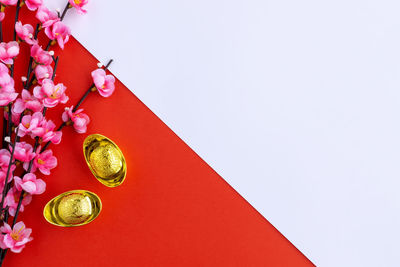 High angle view of red flower on table against white background