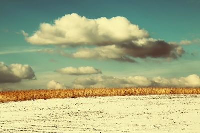 Panoramic view of field against sky