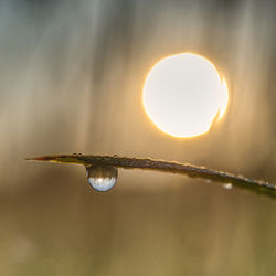 Close-up of raindrops on water against sky during sunset