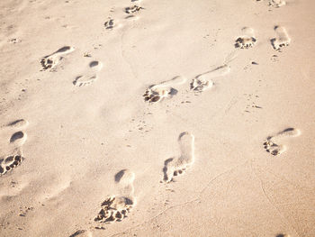 High angle view of footprints on sand at beach