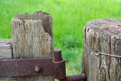 Close-up of wooden post