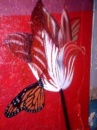 Close-up of butterfly on flower