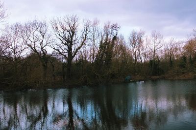 Reflection of trees in lake