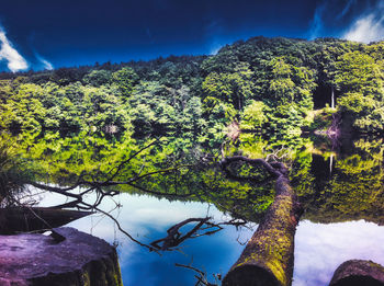 Scenic view of trees by lake against sky
