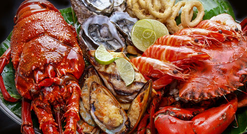 Close-up of seafood in plate