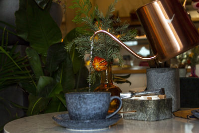 Close-up of potted plant on table