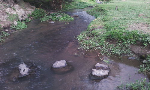 Close-up high angle view of water