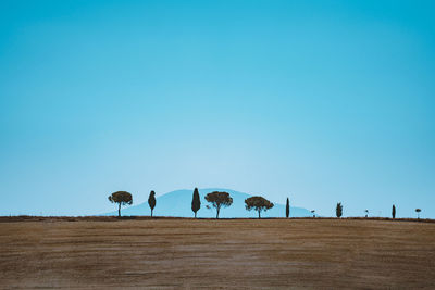 Flock of birds on field against clear sky